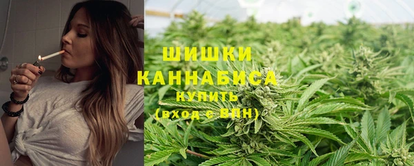 стафф Семилуки