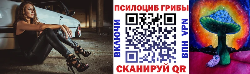 Псилоцибиновые грибы прущие грибы  Бабаево 